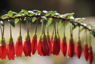 深圳龙华区1私人快速借钱网，轻松解决资金难题