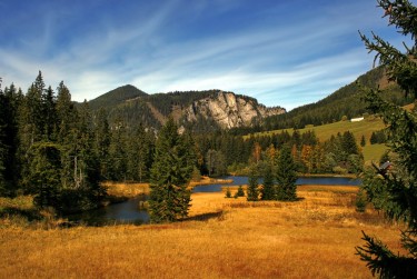 深圳龙华区1民间私贷攻略：揭秘低成本借贷的秘密