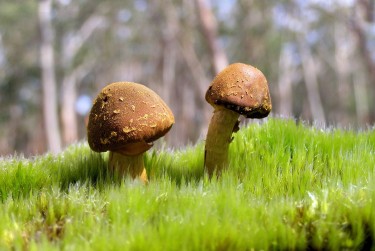 深圳龙华区1私人老板放款：轻松融资的秘密通道